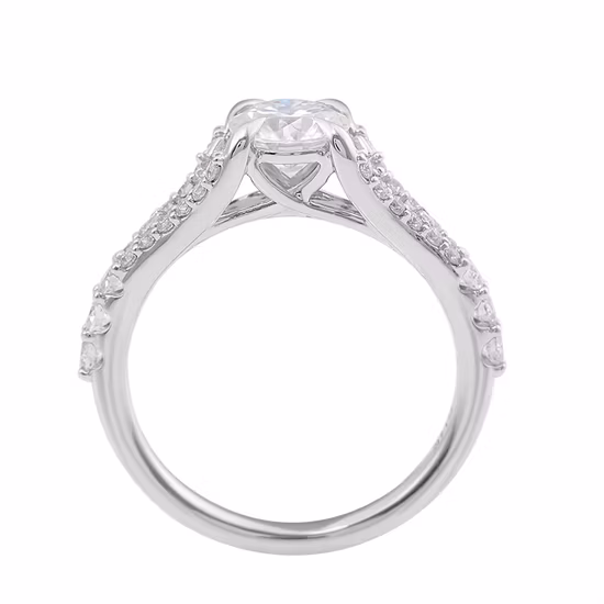 14K White Gold Rings Trendy Design Fine Jewelry Round Cut Moissanite Rings Def Color Loose Gemstone